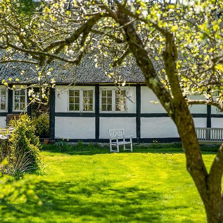 Solbjerggaard Bed & Breakfast Fåborg Dış mekan fotoğraf