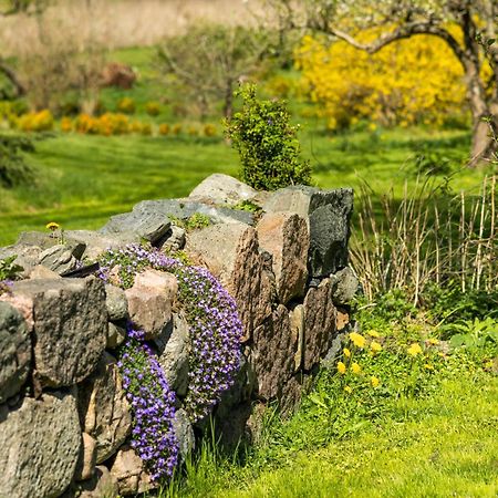 Solbjerggaard Bed & Breakfast Fåborg Dış mekan fotoğraf