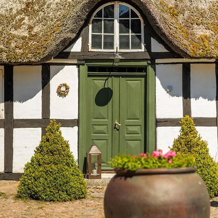 Solbjerggaard Bed & Breakfast Fåborg Dış mekan fotoğraf