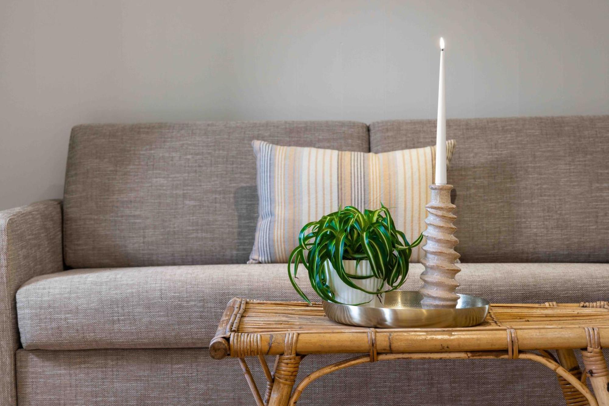 Solbjerggaard Bed & Breakfast Fåborg Dış mekan fotoğraf