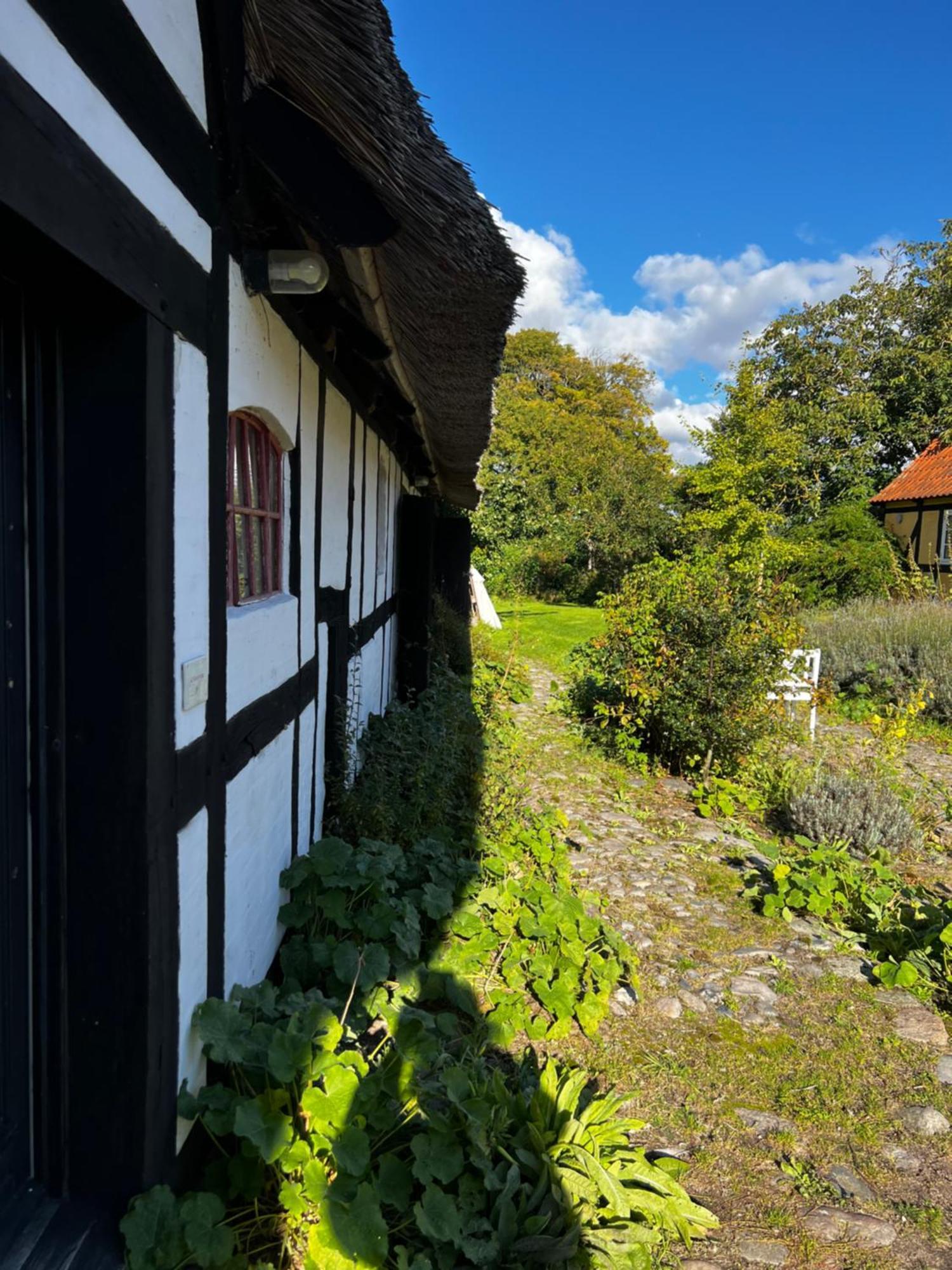 Solbjerggaard Bed & Breakfast Fåborg Dış mekan fotoğraf