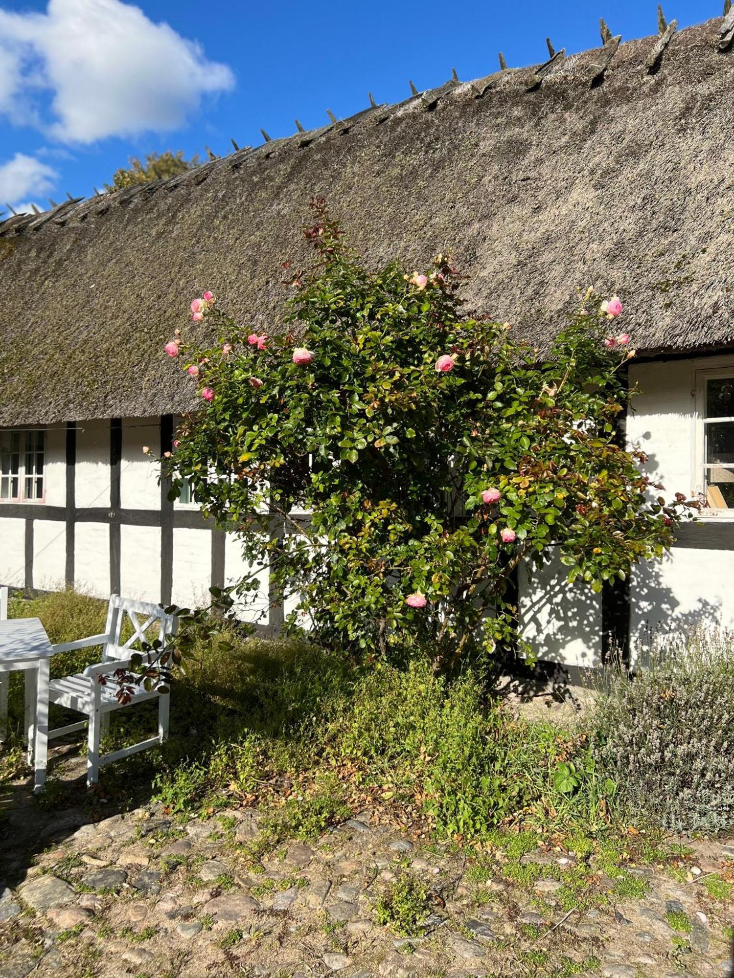Solbjerggaard Bed & Breakfast Fåborg Dış mekan fotoğraf