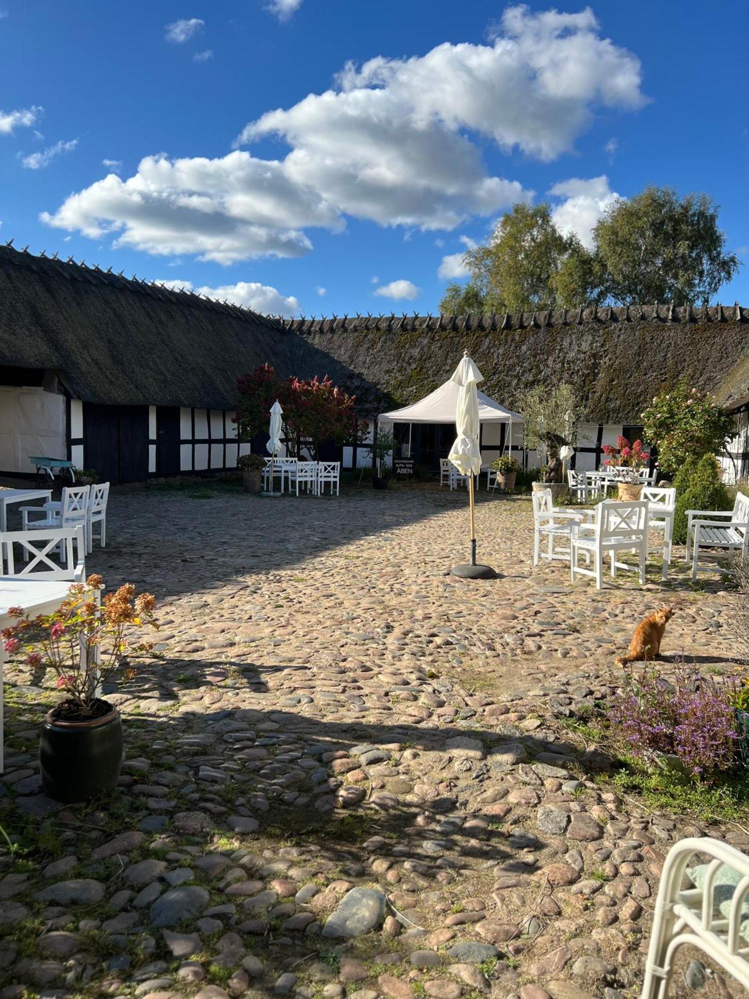 Solbjerggaard Bed & Breakfast Fåborg Dış mekan fotoğraf