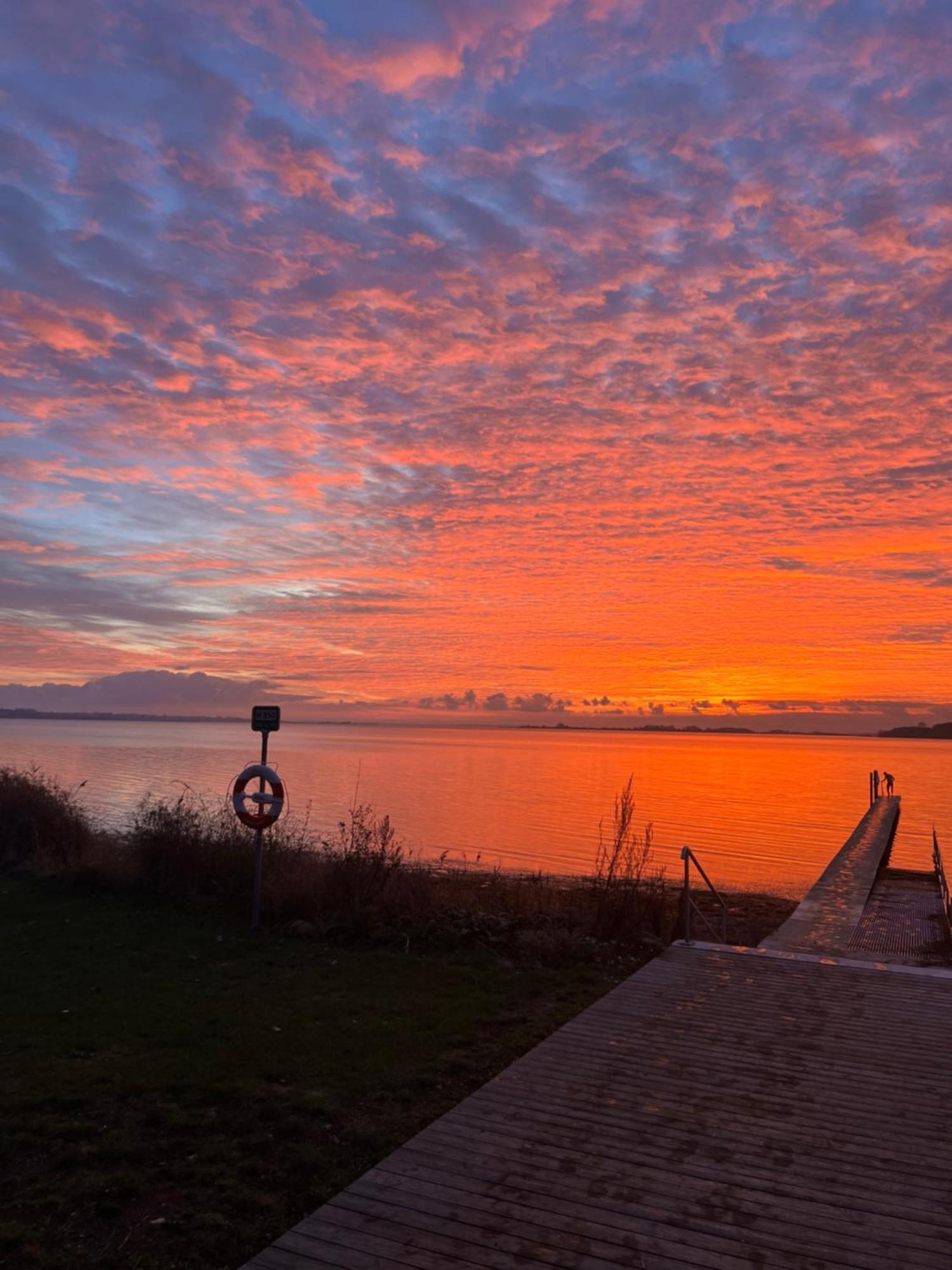Solbjerggaard Bed & Breakfast Fåborg Dış mekan fotoğraf