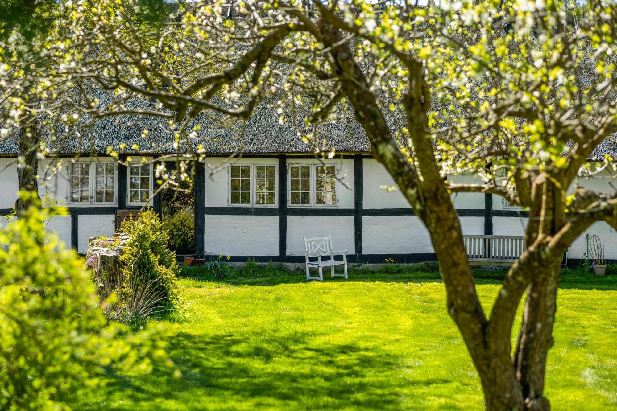 Solbjerggaard Bed & Breakfast Fåborg Dış mekan fotoğraf