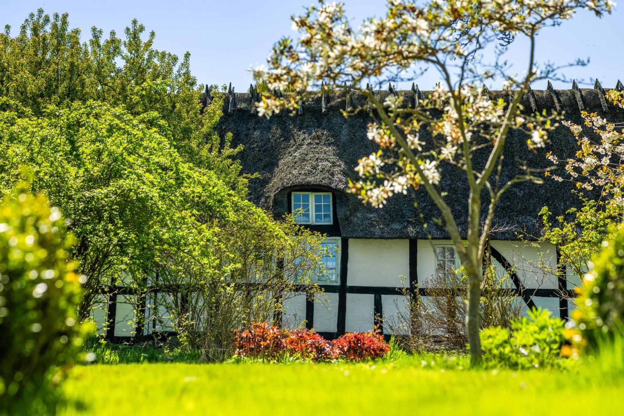 Solbjerggaard Bed & Breakfast Fåborg Dış mekan fotoğraf