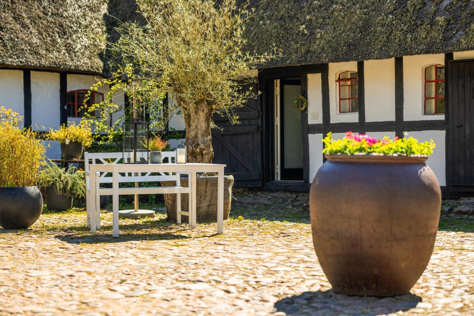 Solbjerggaard Bed & Breakfast Fåborg Dış mekan fotoğraf